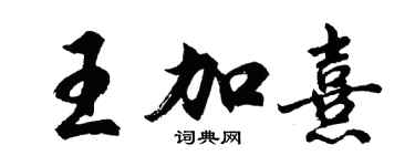 胡問遂王加熹行書個性簽名怎么寫