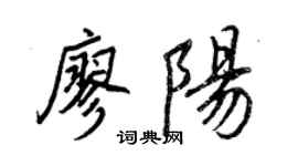 王正良廖陽行書個性簽名怎么寫