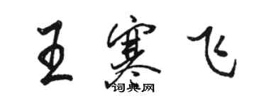 駱恆光王寒飛行書個性簽名怎么寫