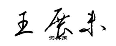 梁錦英王展未草書個性簽名怎么寫