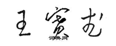 駱恆光王賽武草書個性簽名怎么寫