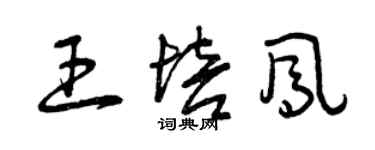 曾慶福王培鳳草書個性簽名怎么寫