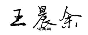 曾慶福王晨余行書個性簽名怎么寫