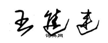 朱錫榮王進連草書個性簽名怎么寫