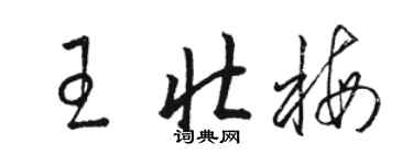 駱恆光王壯梅草書個性簽名怎么寫