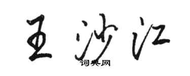 駱恆光王沙江行書個性簽名怎么寫