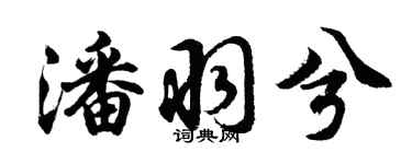 胡問遂潘羽兮行書個性簽名怎么寫