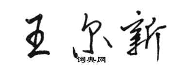 駱恆光王爾新行書個性簽名怎么寫