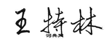 駱恆光王特林行書個性簽名怎么寫