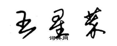 朱錫榮王星萃草書個性簽名怎么寫