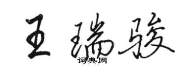 駱恆光王瑞駿行書個性簽名怎么寫