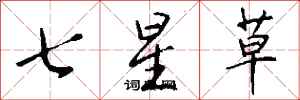 錢沛雲七星草行書怎么寫