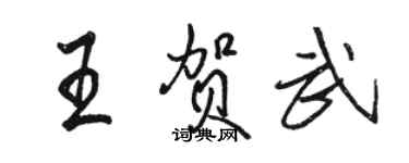 駱恆光王賀武行書個性簽名怎么寫