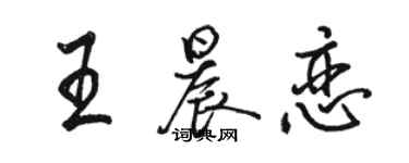 駱恆光王晨戀行書個性簽名怎么寫