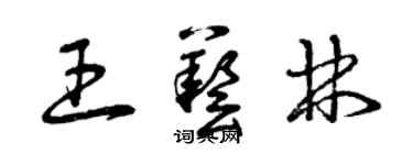 曾慶福王藝林草書個性簽名怎么寫