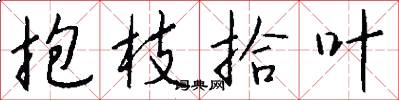 抱枝拾葉怎么寫好看