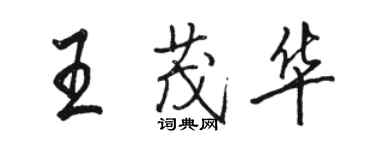 駱恆光王茂華行書個性簽名怎么寫