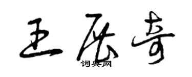 曾慶福王展奇草書個性簽名怎么寫