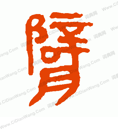 寫的馬王堆帛書