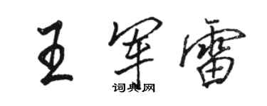 駱恆光王軍雷行書個性簽名怎么寫