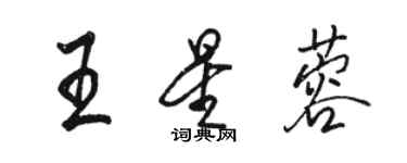 駱恆光王星蓉行書個性簽名怎么寫