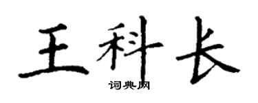 丁謙王科長楷書個性簽名怎么寫
