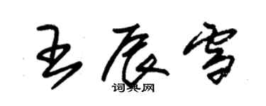 朱錫榮王辰雪草書個性簽名怎么寫