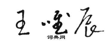 駱恆光王唯辰草書個性簽名怎么寫