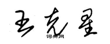 朱錫榮王剋星草書個性簽名怎么寫