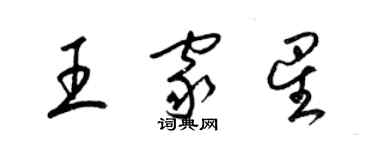 梁錦英王家星草書個性簽名怎么寫