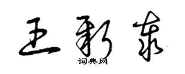 曾慶福王新泰草書個性簽名怎么寫