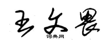 朱錫榮王文畏草書個性簽名怎么寫