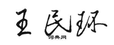 駱恆光王民環行書個性簽名怎么寫