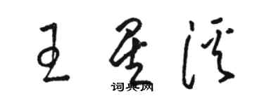 駱恆光王星溪草書個性簽名怎么寫