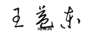 駱恆光王益東草書個性簽名怎么寫