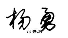 朱錫榮楊勇草書個性簽名怎么寫