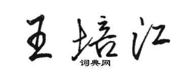駱恆光王培江行書個性簽名怎么寫