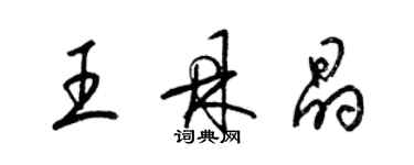 梁錦英王鼎晶草書個性簽名怎么寫