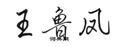 駱恆光王魯鳳行書個性簽名怎么寫