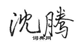 駱恆光沈騰行書個性簽名怎么寫