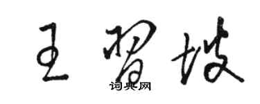 駱恆光王習坡草書個性簽名怎么寫