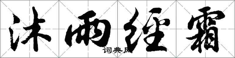 胡問遂沐雨經霜行書怎么寫