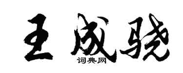 胡問遂王成驍行書個性簽名怎么寫
