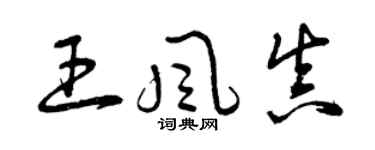 曾慶福王風真草書個性簽名怎么寫