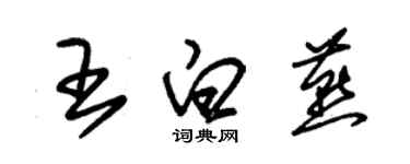 朱錫榮王白燕草書個性簽名怎么寫