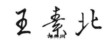 駱恆光王素北行書個性簽名怎么寫