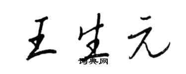 王正良王生元行書個性簽名怎么寫
