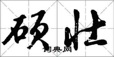 胡問遂碩壯行書怎么寫