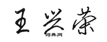 駱恆光王興榮行書個性簽名怎么寫