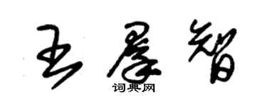 朱錫榮王群智草書個性簽名怎么寫